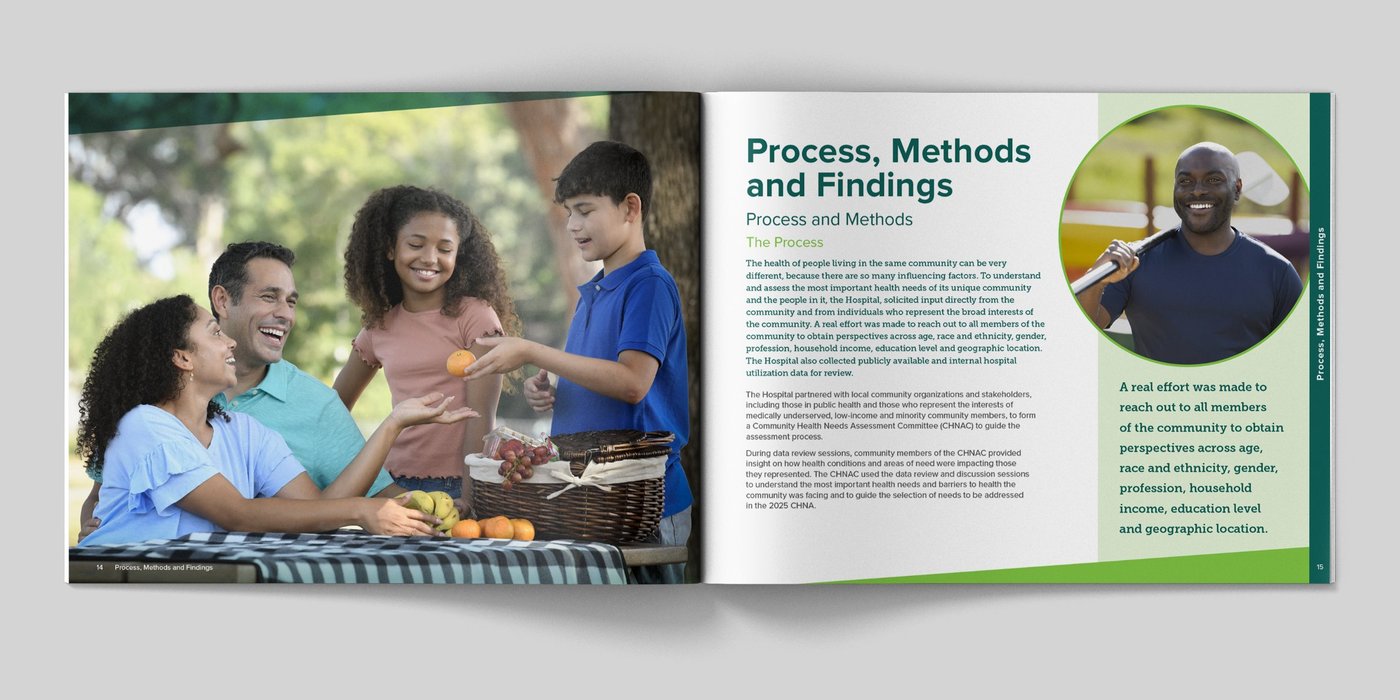 CHNA process, methods and findings section opener spread